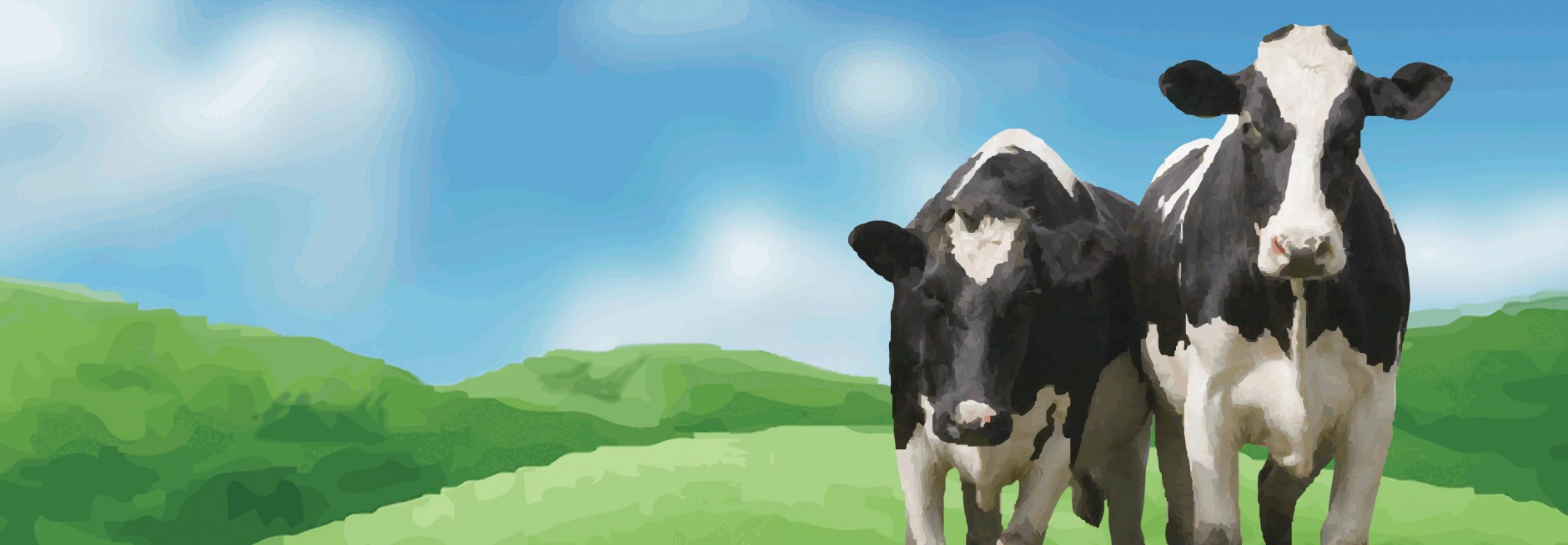 Prairie Farms Case Study Cows